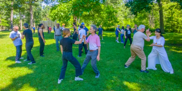 Large group of active people doing push hands (tui shou) - all from different tai chi backgrounds